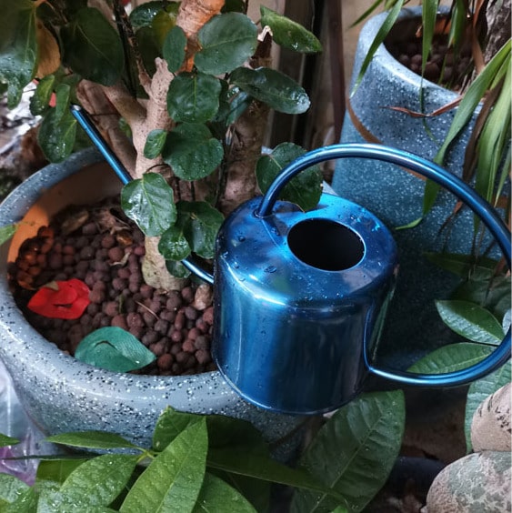 Galvanized watering can